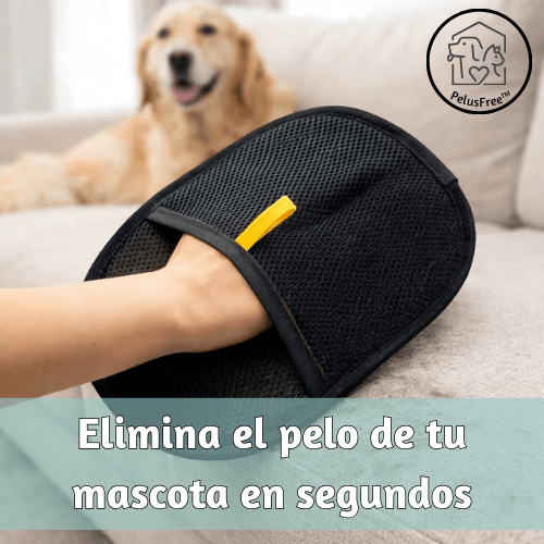 PelusFree™ Elimina el pelo de tu mascota en segundos